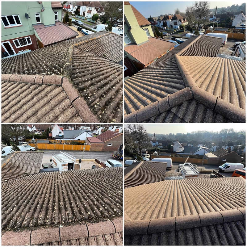 Roof Cleaning